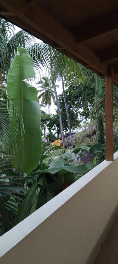 Guest House My Way Las Terrenas Exterior foto